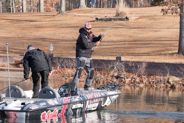 Bassmaster Open On Smith Lake To Benefit From Blueback Herring Explosion