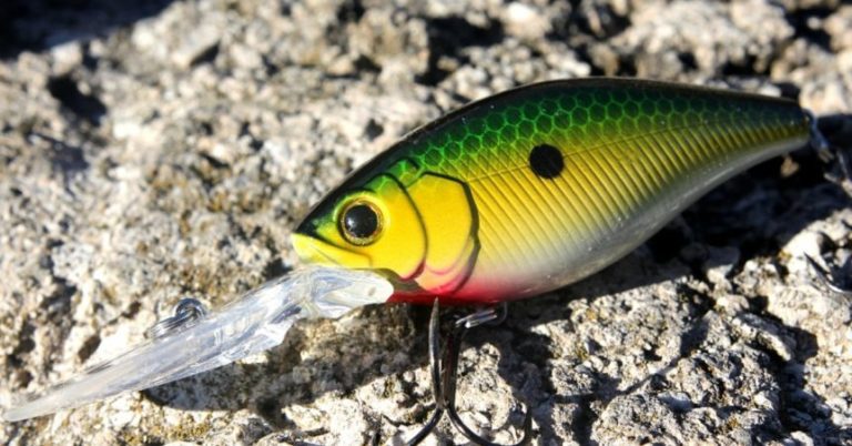 How To Fish A Deep Crankbait For Summer Studs – MTB