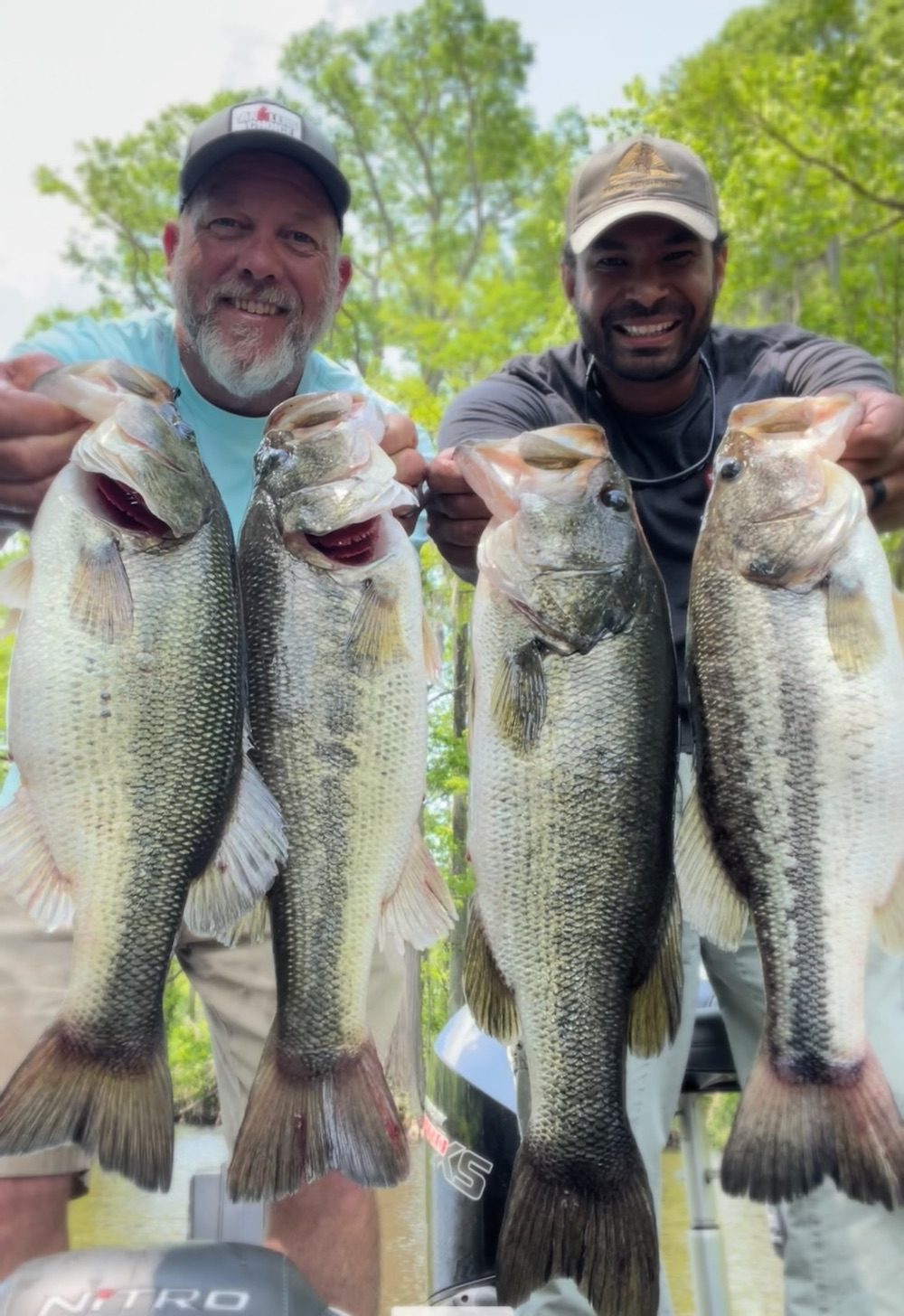 May 2022 Albermarle Sound/ Roanoke River Fishing Report by Capt. Scooter Lilley