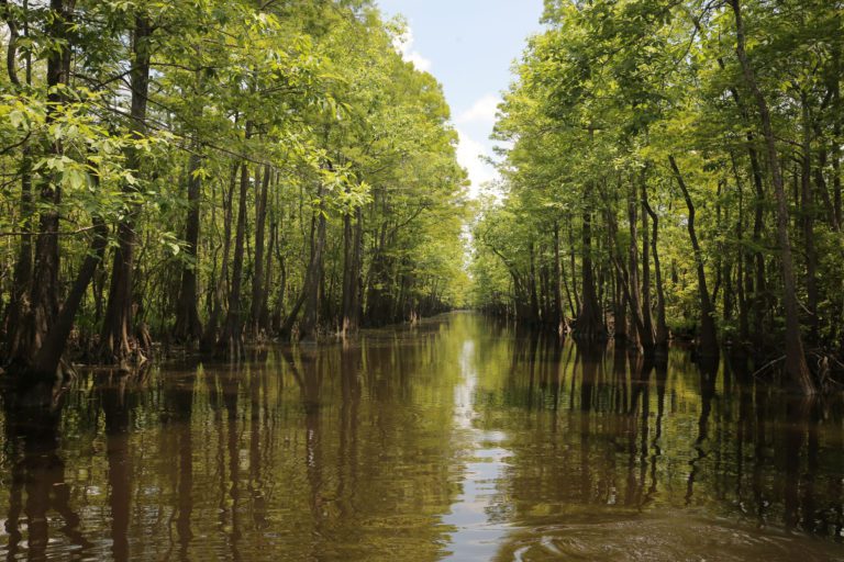 Sabine River Offers Vast Fishery, Uncertain Conditions For Bassmaster Elite