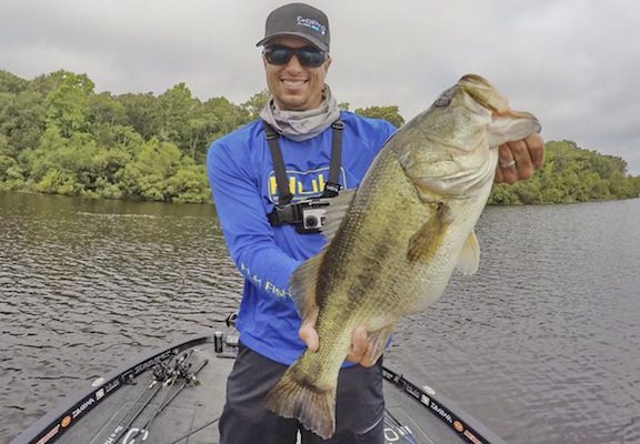 Summer Tree Trimming for Suspending Bass David A. Brown June 9,2016