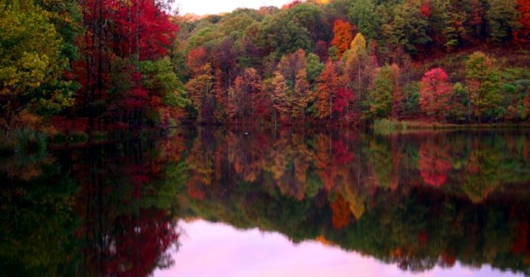 5 Fall Fishing Baits To Help You Catch A Giant Bass – MTB