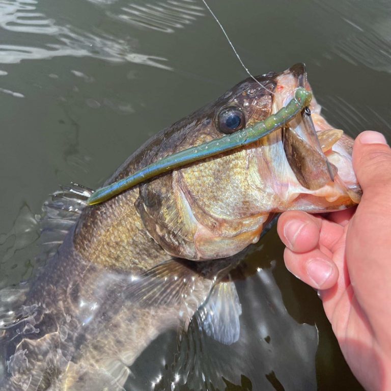 Do You Believe In Magic? Then Come Along With Me by Bruce Callis Jr