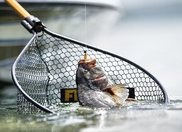RECENT SURVEY SAYS ANGLERS CHOOSE FRABILL LANDING NETS MORE THAN ANY OTHER BRAND