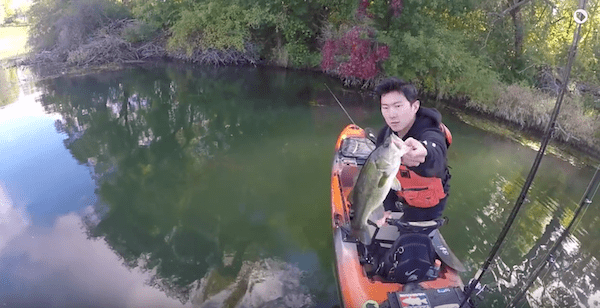 Finicky Fall Bass (Drop shot fishing) By Greg Blanchard October 30,2016