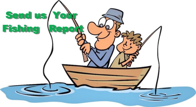 Lake Report Submission