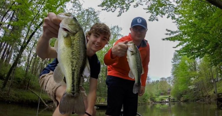 River Bass Fishing: How To Catch Giant Bass In Your Local River – MTB
