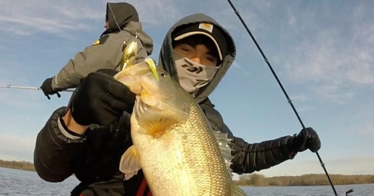 Fishing Quarry Lakes: Breaking Down Lowkey Honey Holes