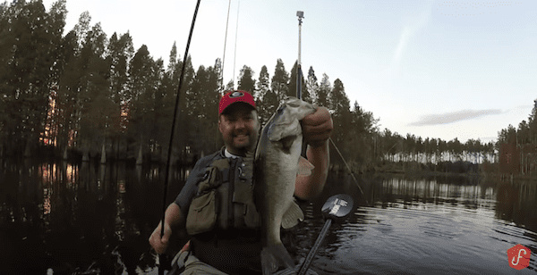 Great Fall Bass Fishing in Florida with Buzzbaits and Worms With Gene Jensen
