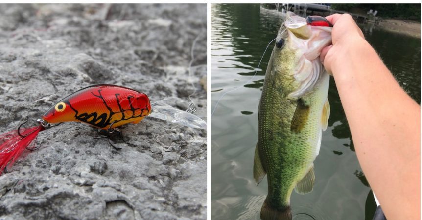 5 Tips To Becoming A Better Crankbait Angler -MTB