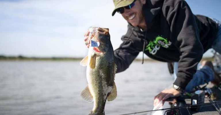 The Googan Squad Hummer Buzzbait Will Have You Buzzing Like A Bee