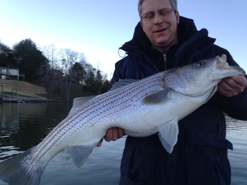 Smith Mountain Lake Fishing Report February 2016 by Captain Dale Wilson