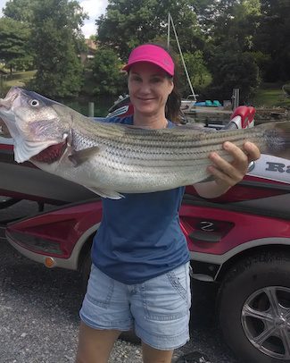 August 2014 Lake report by Captain Dale Wilson