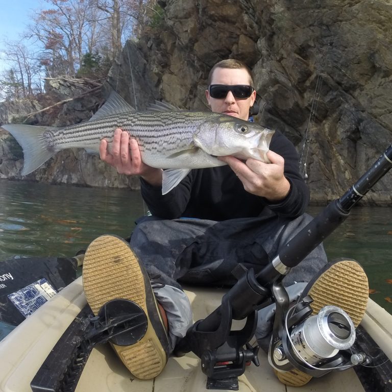 Smith Mountain Lake Lake Report by Capatian Dale Wilson – January 2015