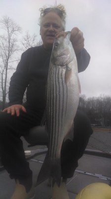 Smith Mountain Lake Fishing Report by Captain Dale Wilson January 2015