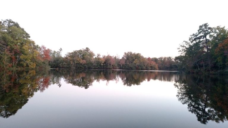 Fall Fishing: Boom or Bust By Bruce Callis –  November 6,2017