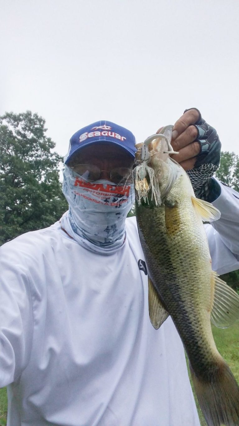 Surviving the Dog Days of Summer by Bruce Callis