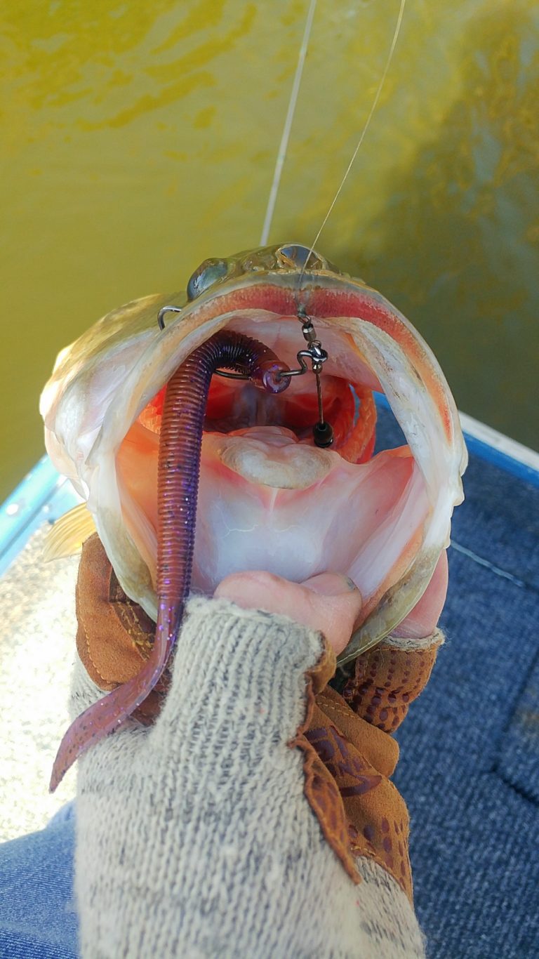 The All New Missile Baits Quiver by Bruce Callis