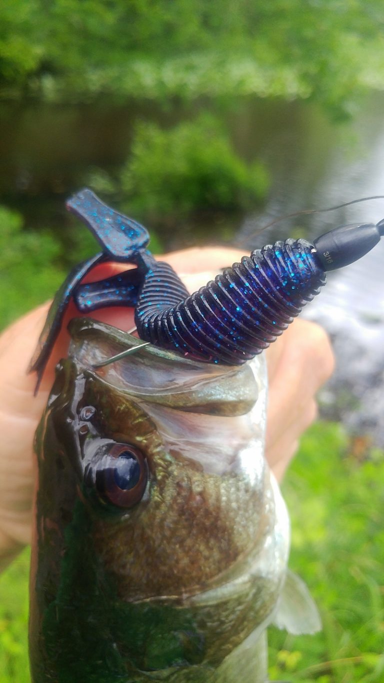 WOO Tungsten: Answering the question of size by Bruce Callis