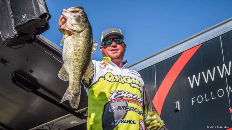 Pay Attention By Bruce Callis