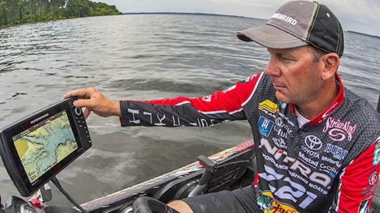 No Fish is Safe By Skye Riggleman