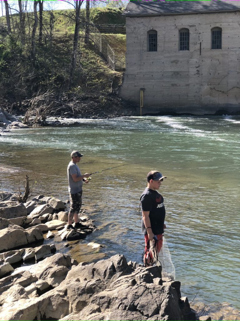 The Season of Cancellation: When Will It End? by Bruce Callis Jr