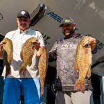 IMG_8746_sillerLimit