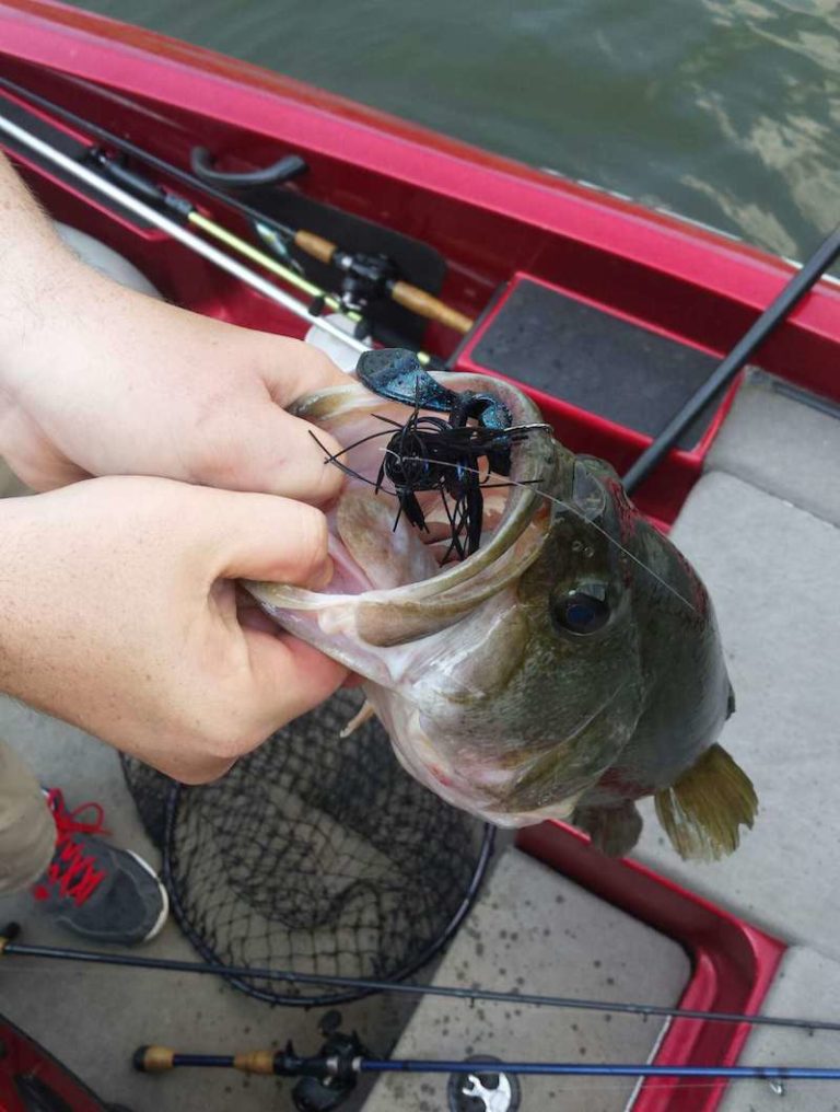 Diablo Custom Jigs – TheBassCast First Look  By Ben Hudson