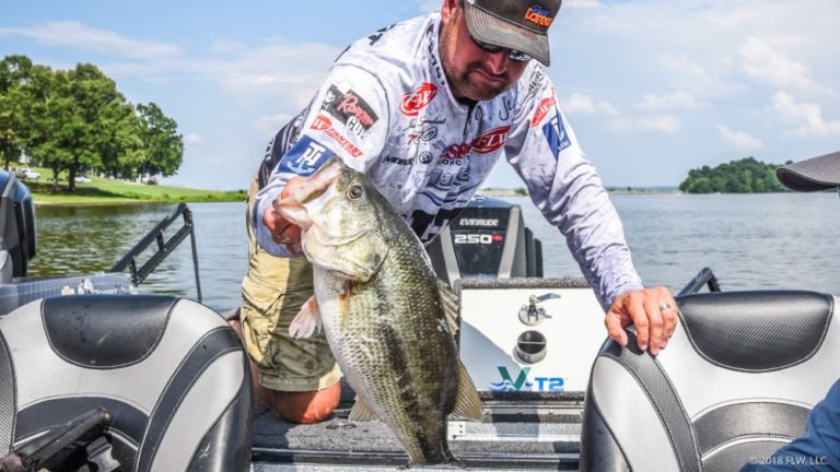Evinrude Angler Breaks Records at Costa Sunglasses FLW Tour Event on Kentucky Lake