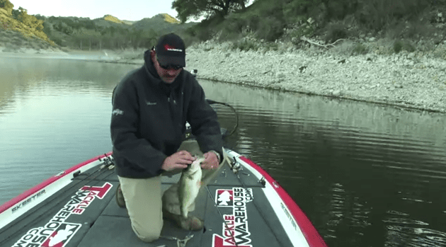 Pre-Spawn Tips with Jared Lintner A-Rigs & Jerkbaits – Tackle Warehouse