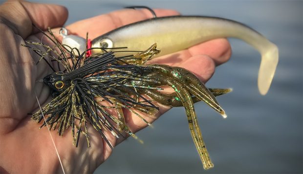 Op Ed: Has the Swimbait Dethroned the Jig as the Best Big Bass