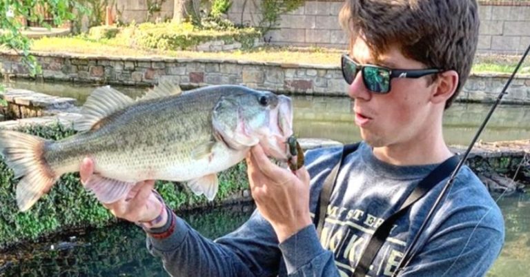 Three Of The Deadliest Ways To Fish A Creature Bait – MTB