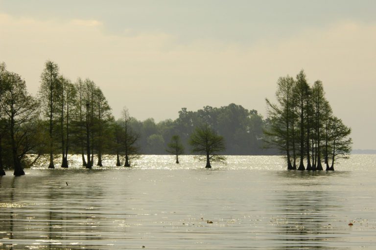 Bassmaster Elite At Santee Cooper May Present Interesting Seasonal Challenges 