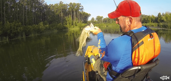 Kayak Bass Fishing with Ron Champion – LATE SUMMER PATTERNS