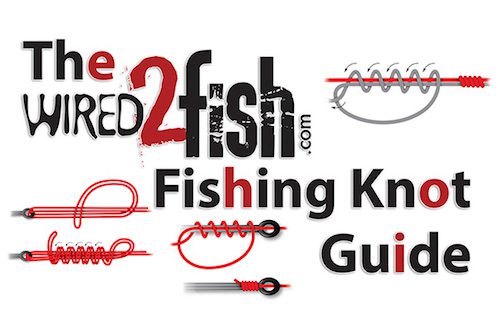15 Fishing Knots Every Angler Should Know by: Jason Sealock