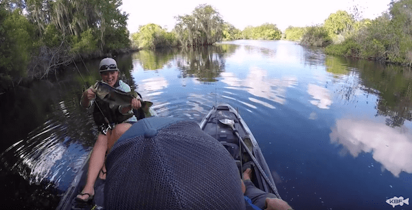 A Shark, A Gator and Kristie Caught a Big ‘Ol Bass – Kayak Bassin TV