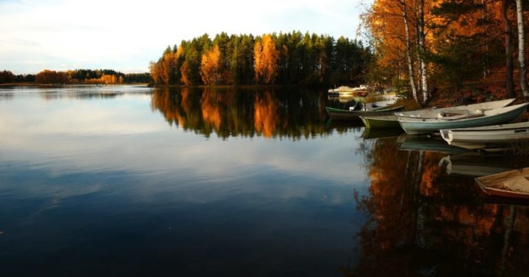 Fishing The North In The Fall: Trophy Hunt Big Bass Before The Freeze