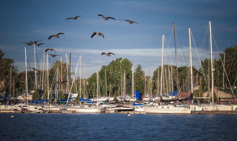 Bassmaster Elite Series Swings North For Crucial Event At New York’s Lake Champlain