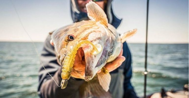 Mother Nature Knows Best: 3 Clues In Wildlife That Will Lead You To More Bass