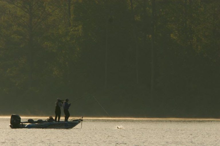 Lake Guntersville B.A.S.S. Nation Cleanup Set For Saturday