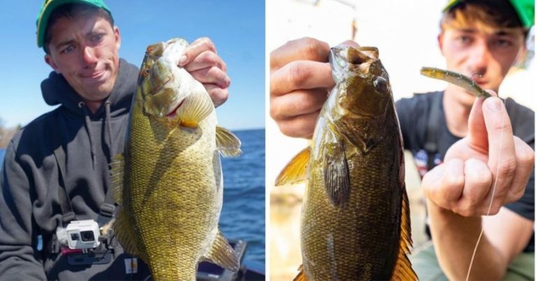 Northern And Southern Smallmouth Bass – Is There A Difference? MTB