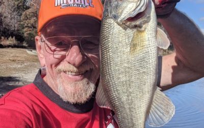 Changing to Catch Bass: Scaling Down to Size by Bruce Callis Jr