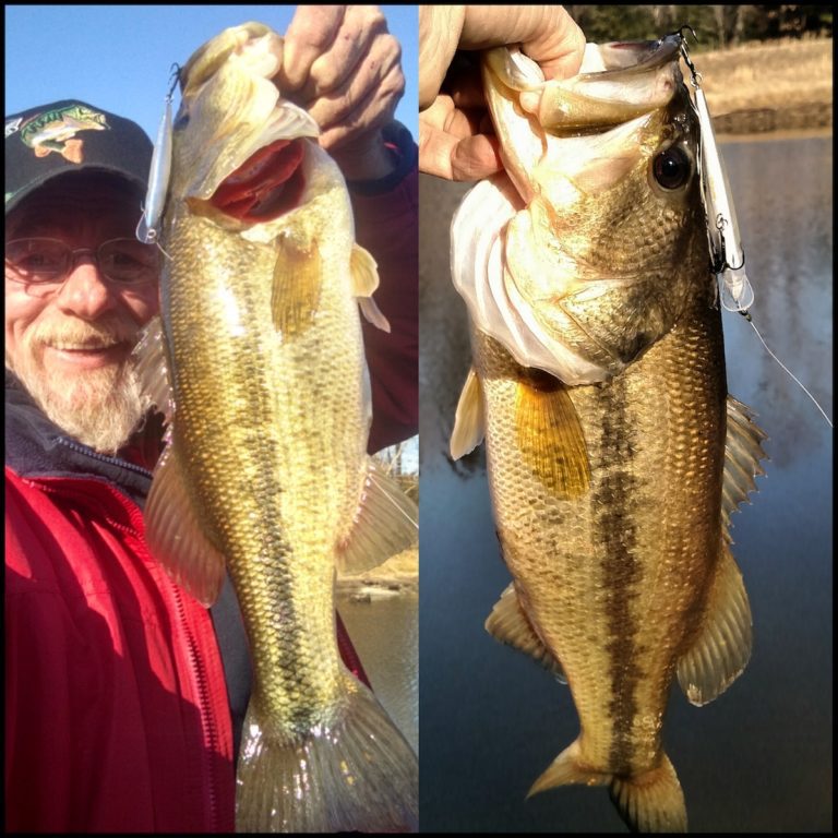 Jerking Away the Winter Blues by Bruce Callis