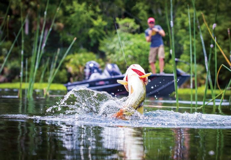 The Change by Ben Hudson “What causes fishing to change from year to year?”