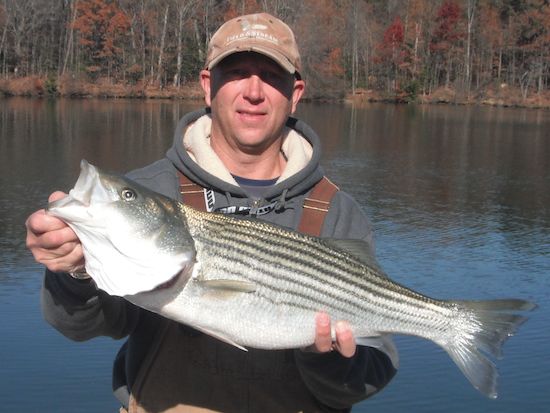 Lake Anna – December 2013 lake Report – By Chris Craft