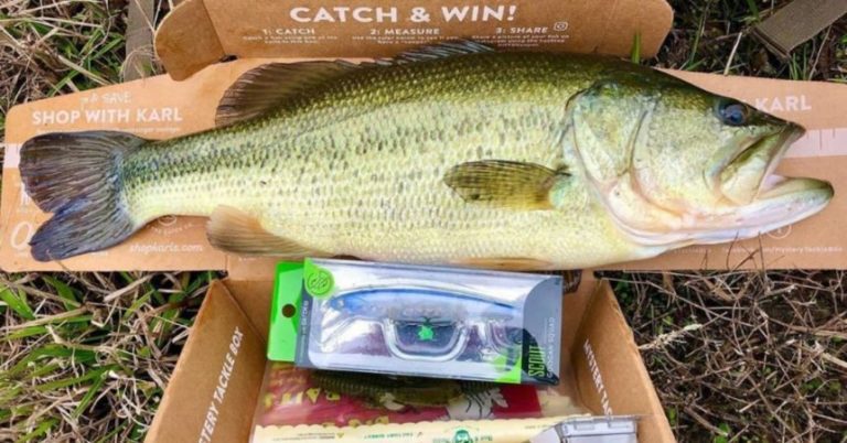 Force Them To EAT! 4 Easy Ways To Trigger A Reaction Strike