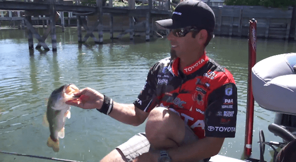 Fishing Clear Lake with Lintner & Ike Part 6 – Tips