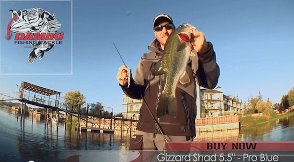 Fishing the Damiki Gizzard Shad 5.5" with Bryan Thrift for Clear Lake Bass