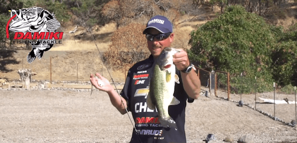 Fishing the Damiki Air Frog for Clear Lake Bass with Bryan Thrift Part 2
