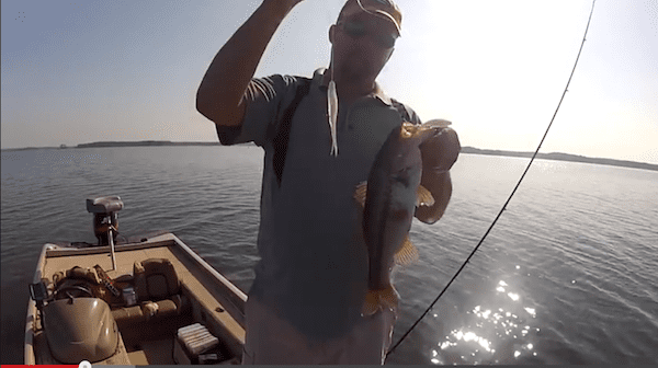 Double Fluke Rig (How To)  By Gene Jensen